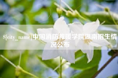 三沙中国消防救援学院湖南招生情况公布