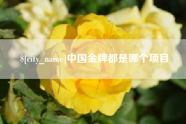 三沙中国金牌都是哪个项目