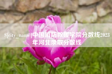 三沙中国消防救援学院分数线2023年河北录取分数线