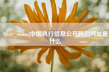 三沙中国执行信息公开网的网址是什么