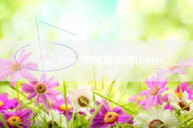 三沙中国消防网1190119