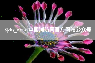 三沙中国消防网官方网站公众号
