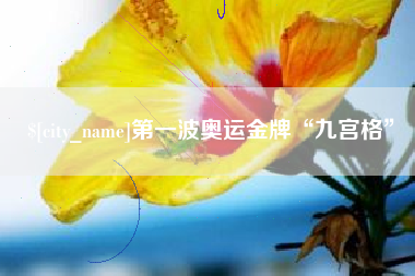 三沙第一波奥运金牌“九宫格”