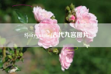 三沙古代九宫图片