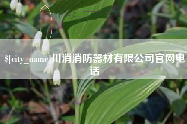 三沙川消消防器材有限公司官网电话