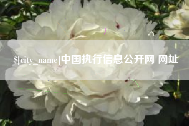 三沙中国执行信息公开网 网址