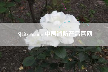 三沙中国消防产品官网