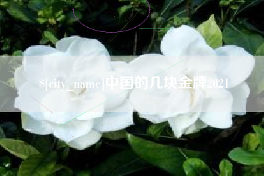 三沙中国的几块金牌2021