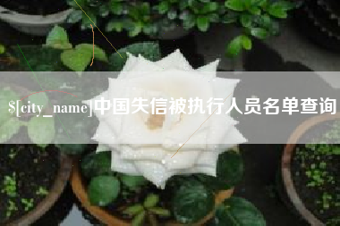 三沙中国失信被执行人员名单查询