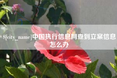 三沙中国执行信息网查到立案信息怎么办