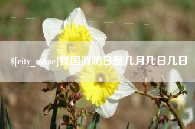 三沙我国消防日是几月几日几日