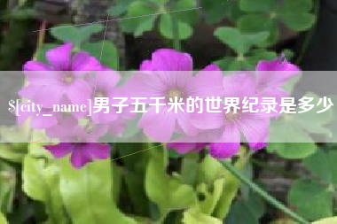 三沙男子五千米的世界纪录是多少