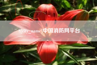 三沙中国消防网平台