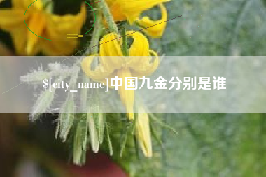 三沙中国九金分别是谁