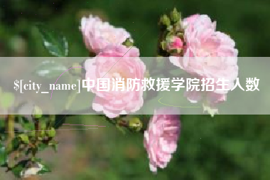 三沙中国消防救援学院招生人数