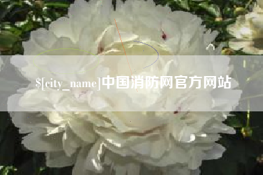 三沙中国消防网官方网站