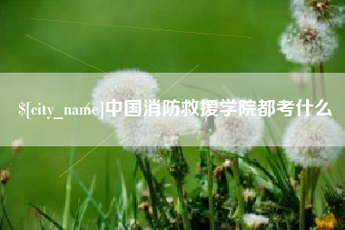 三沙中国消防救援学院都考什么