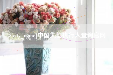 三沙中国失信执行人查询官网