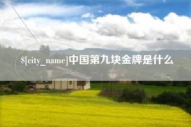 三沙中国第九块金牌是什么