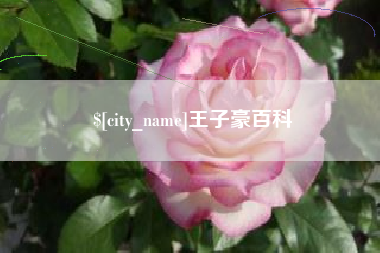 三沙王子豪百科