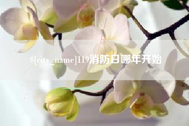 三沙119消防日哪年开始