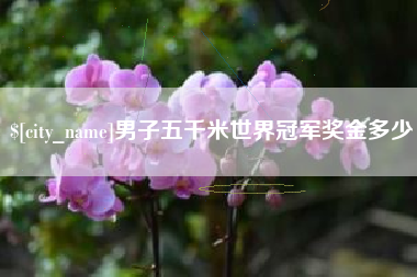 三沙男子五千米世界冠军奖金多少