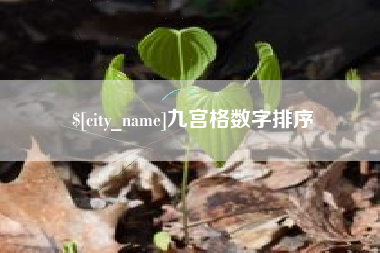 三沙九宫格数字排序