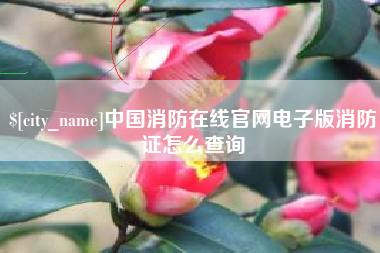 三沙中国消防在线官网电子版消防证怎么查询