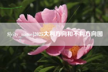 三沙2025大利方向和不利方向图