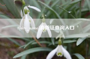 三沙消防证查询入口