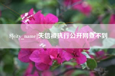 三沙失信被执行公开网查不到