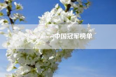 三沙中国冠军榜单