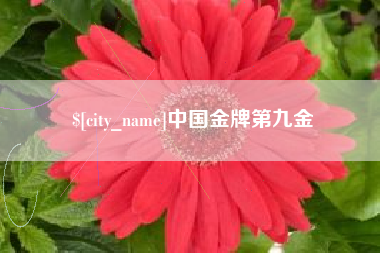三沙中国金牌第九金