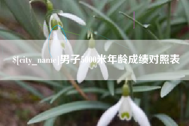 三沙男子5000米年龄成绩对照表