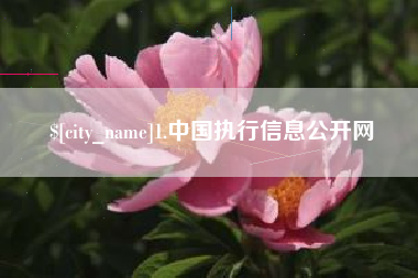 三沙1.中国执行信息公开网