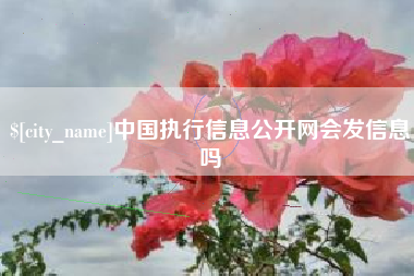 三沙中国执行信息公开网会发信息吗