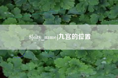 三沙九宫的位置