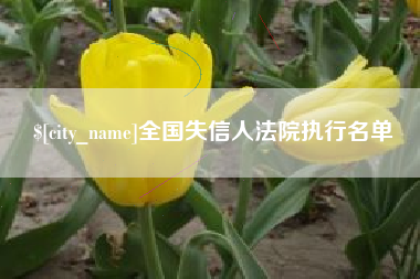 三沙全国失信人法院执行名单