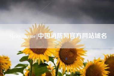 三沙中国消防网官方网站域名