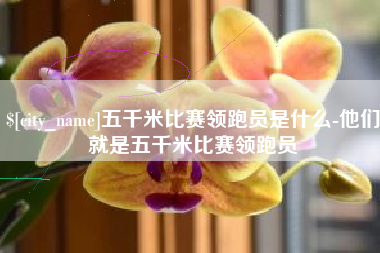 三沙五千米比赛领跑员是什么-他们就是五千米比赛领跑员