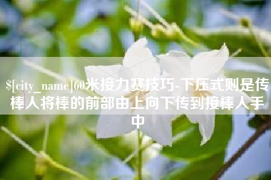 三沙60米接力赛技巧-下压式则是传棒人将棒的前部由上向下传到接棒人手中