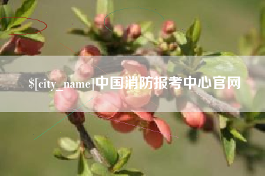 三沙中国消防报考中心官网