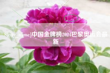 三沙中国金牌榜2024巴黎奥运会最新