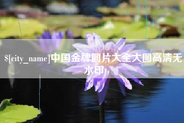 三沙中国金牌图片大全大图高清无水印