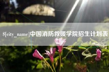 三沙中国消防救援学院招生计划表