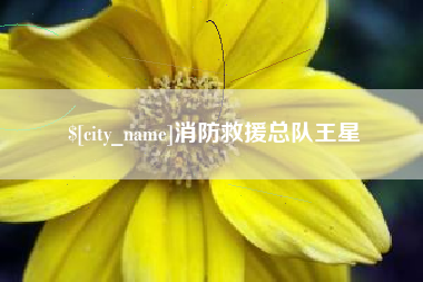 三沙消防救援总队王星