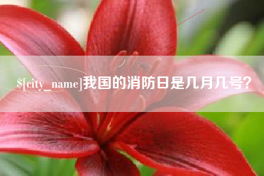 三沙我国的消防日是几月几号？