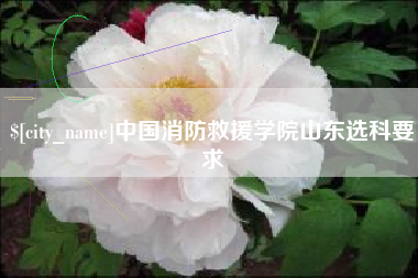 三沙中国消防救援学院山东选科要求
