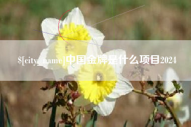 三沙中国金牌是什么项目2024