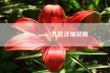 三沙九宫详细说明